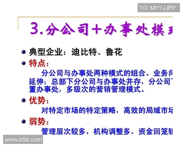 北京足球队运营革新探索：从管理模式到市场营销的全面升级之路